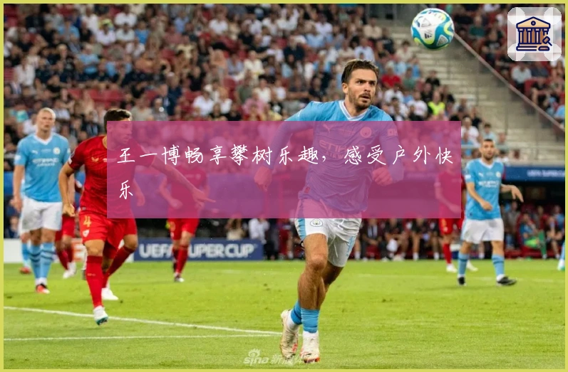 王一博畅享攀树乐趣，感受户外快乐