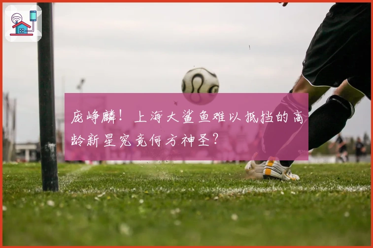 庞峥麟！上海大鲨鱼难以抵挡的高龄新星究竟何方神圣？