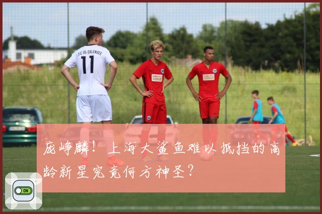 庞峥麟！上海大鲨鱼难以抵挡的高龄新星究竟何方神圣？